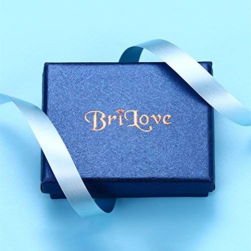 BriLove Women's Crystal Winter Daily Party Elegant Snowflake Pendant Necklace Hook Dangle Earrings Set for Gift Clear Silver-Tone