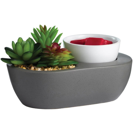 Candle Warmers Etc. Fragrance Warmer (Succulent) Warm Scented Wax Melts, Cubes and Tarts