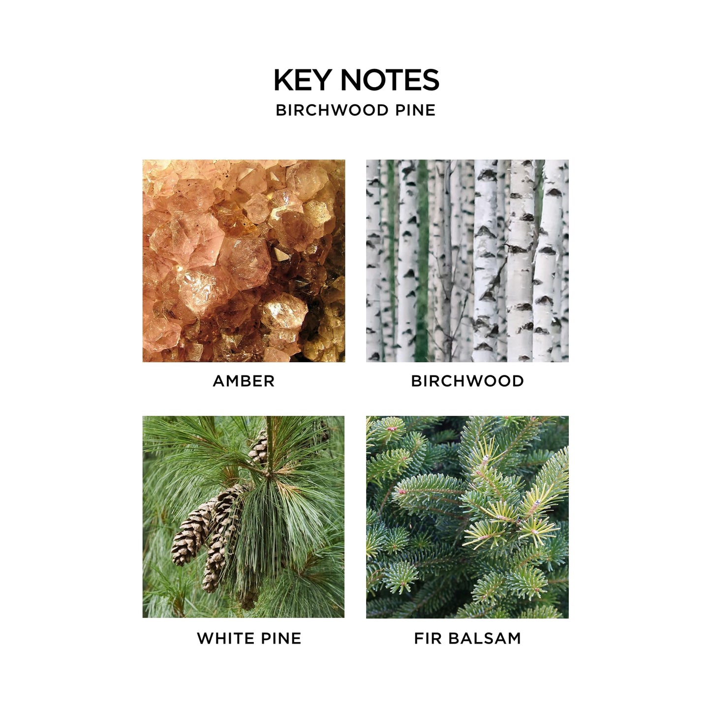 NEST New York Festive Scented Votive Candle Trio - 2 oz Each - Includes Holiday, Birchwood Pine, Crystallized Ginger & Vanilla Bean - Up to 28-Hour Burn Time - Reusable Glass Vessel