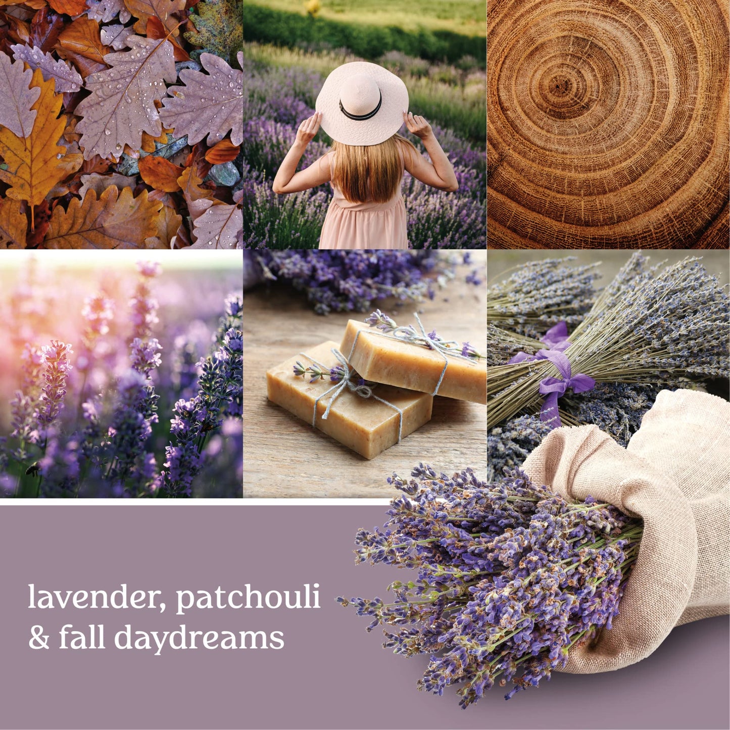 Yankee Candle Dried Lavender & Oak Scented Classic 22 Oz Large Jar Single Wick Aromatherapy Candle Over 110 Hours of Burn Time Ideal for Creating a Welcoming Home Perfect for Gifting